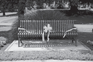 picture of the Centenial Bench